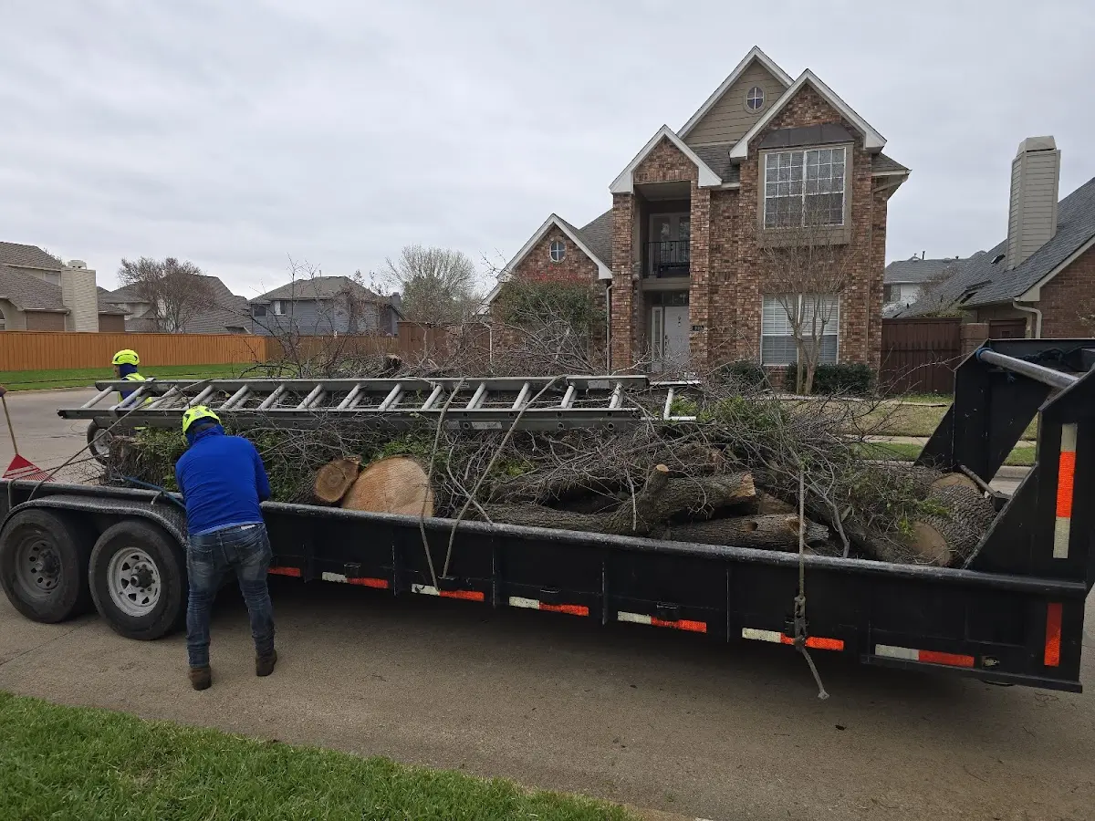 Expert Lot Clearing with proper safety equipment in Elco